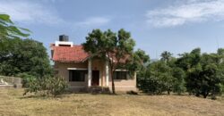 Bungalow In Mapgaon Alibaug