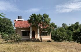Bungalow In Mapgaon Alibaug Bungalow In Mapgaon Alibaug