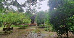 Bungalow In Awas Alibag