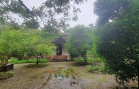 Bungalow In Awas Alibag Bungalow In Awas Alibag