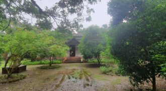 Bungalow In Awas Alibag