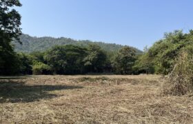 Land For Sale In Mhatroli Alibaug Land For Sale In Mhatroli Alibaug