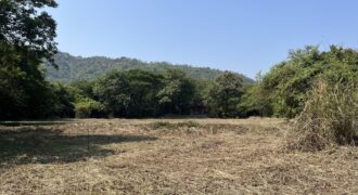 Land For Sale In Mhatroli Alibaug