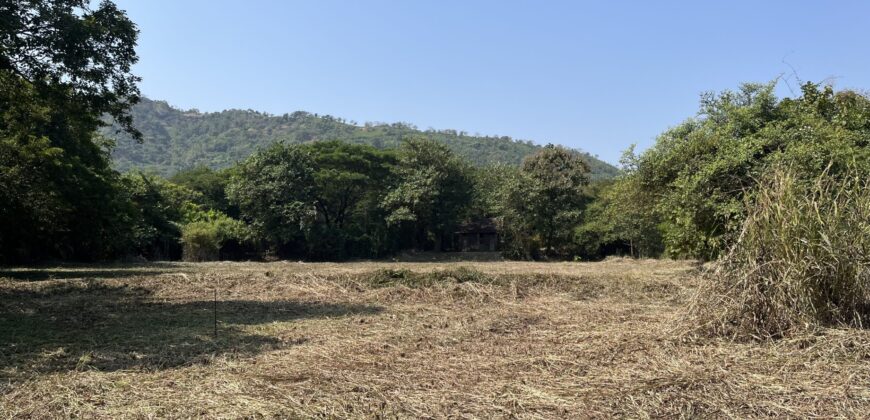 Land For Sale In Mhatroli Alibaug