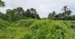Land For Sale In Saral Alibaug