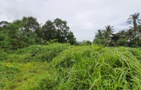 Land For Sale In Saral Alibaug Land For Sale In Saral Alibaug