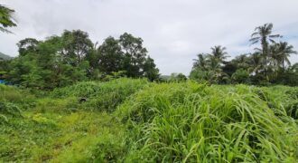 Land For Sale In Saral Alibaug