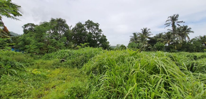 Land For Sale In Saral Alibaug