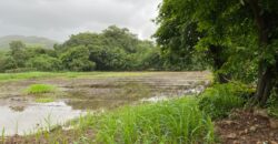 Land For Sale In Mapgaon Alibaug