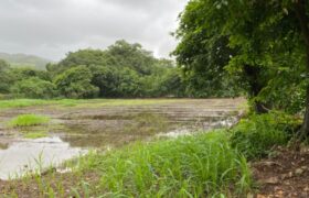 Land For Sale In Mapgaon Alibaug Land For Sale In Mapgaon Alibaug