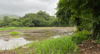 Land For Sale In Mapgaon Alibaug