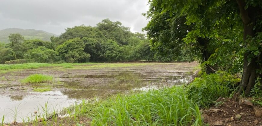 Land For Sale In Mapgaon Alibaug