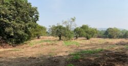 Land For Sale In Agarsure Alibaug