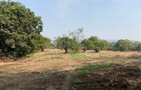 Land For Sale In Agarsure Alibaug Land For Sale In Agarsure Alibaug