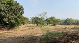 Land For Sale In Agarsure Alibaug