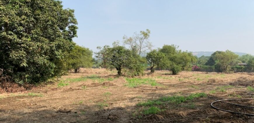 Land For Sale In Agarsure Alibaug