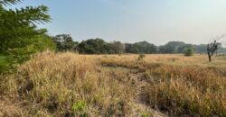Plot For Sale In Alibaug