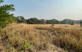 Plot For Sale In Alibaug Plot For Sale In Alibaug