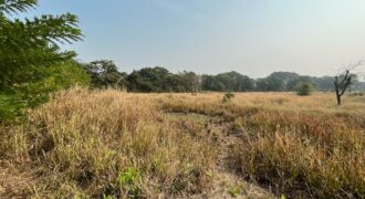 Plot For Sale In Alibaug Plot For Sale In Alibaug