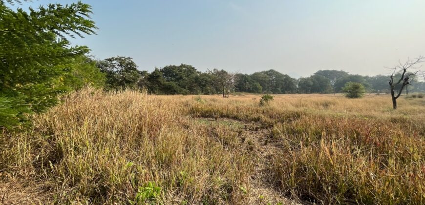 Plot For Sale In Alibaug