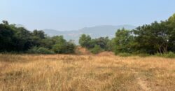Land For Sale In Alibaug