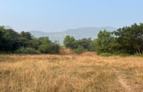 Land For Sale In Alibaug Land For Sale In Alibaug
