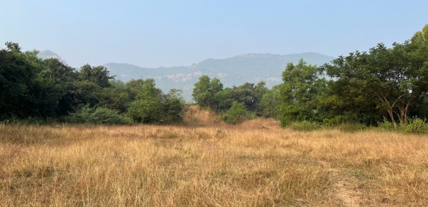 Land For Sale In Alibaug