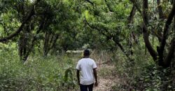 Mango Farm For Sale In Alibaug