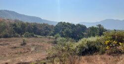 Hill Top Land For Sale In Alibaug