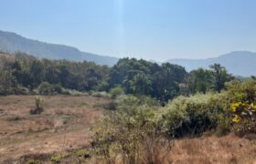 Hill Top Land For Sale In Alibaug Hill Top Land For Sale In Alibaug