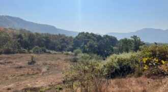 Hill Top Land For Sale In Alibaug Hill Top Land For Sale In Alibaug