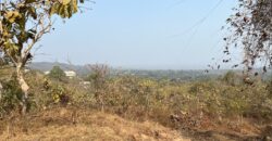 Sea Facing Land For Sale In Alibaug