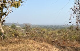 Sea Facing Land For Sale In Alibaug Sea Facing Land For Sale In Alibaug