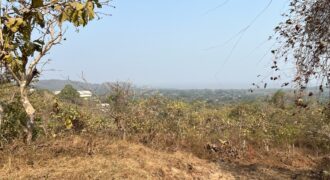 Sea Facing Land For Sale In Alibaug Sea Facing Land For Sale In Alibaug