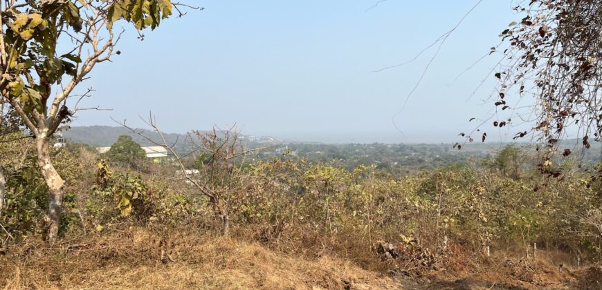 Sea Facing Land For Sale In Alibaug